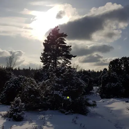 Stilvolle Forsthof-depandence Mit Service Daire Wriedel