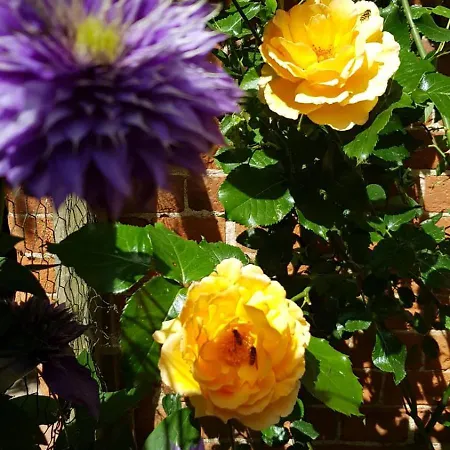 Stilvolle Forsthof-depandence Mit Service Daire