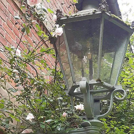 Daire Stilvolle Forsthof-depandence Mit Service *