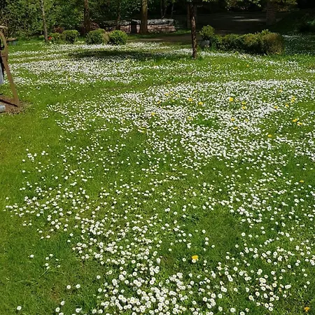 Stilvolle Forsthof-depandence Mit Service Daire *