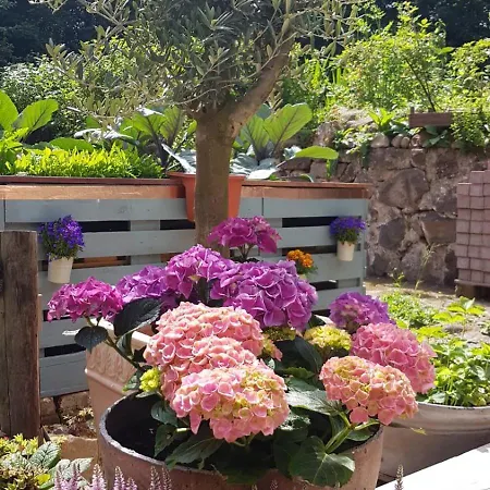 Daire Stilvolle Forsthof-depandence Mit Service *