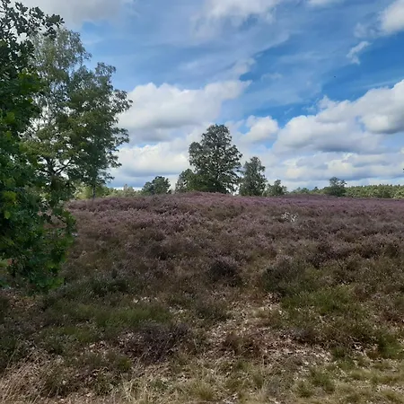 Stilvolle Forsthof-depandence Mit Service Daire *